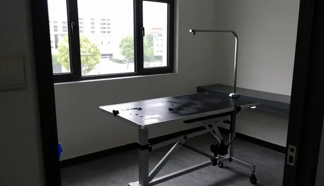 钣金喷漆在汽车保养中的应用场景与技术适配分析